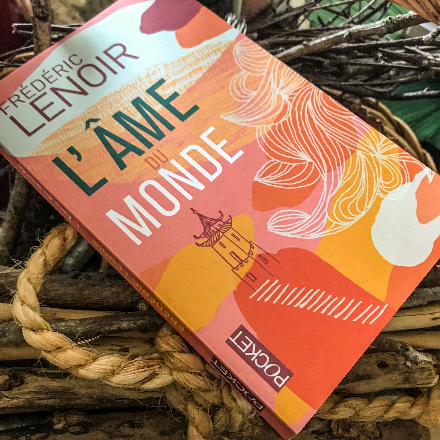 L&rsquo;âme du monde, de Frédéric Lenoir : toute la sagesse universelle