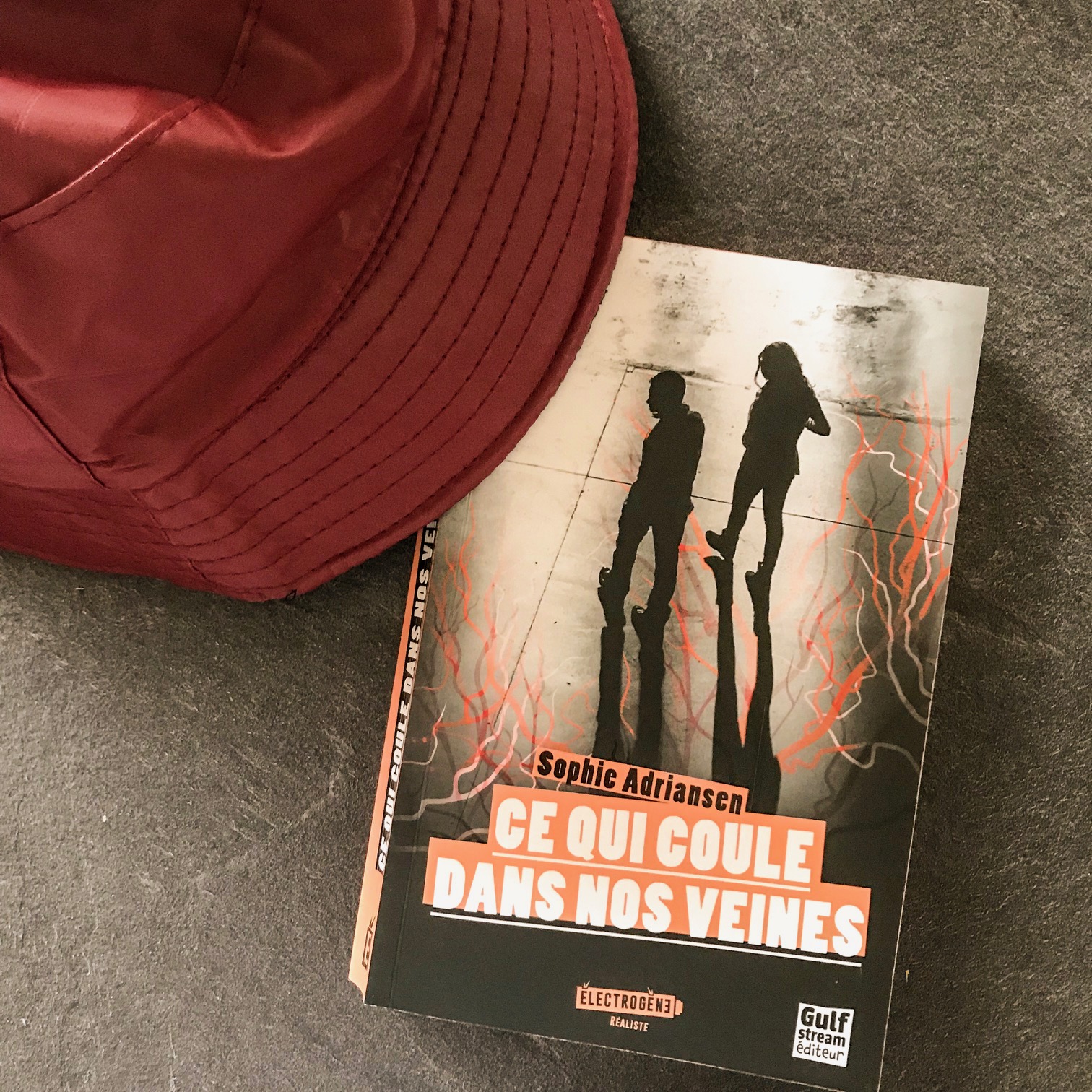 Ce qui coule dans nos veines, de Sophie Adriansen : le poison