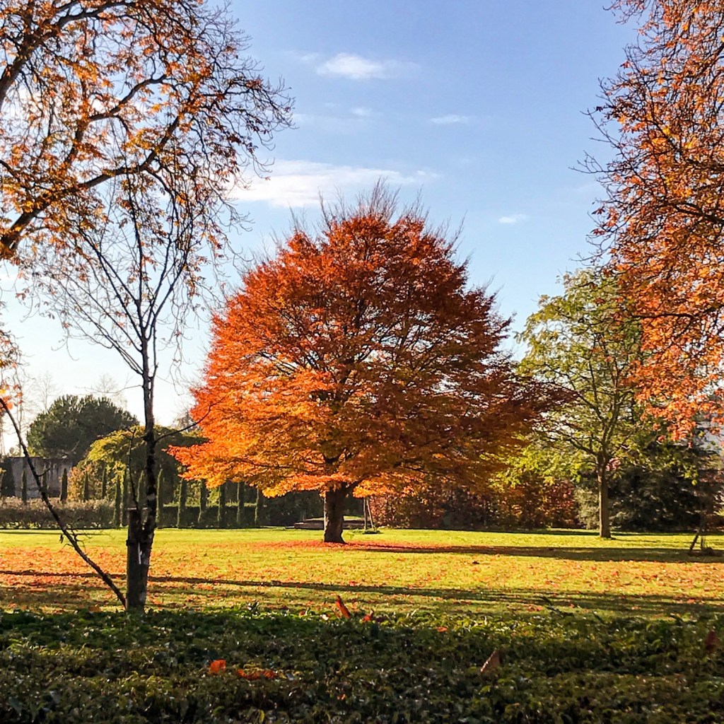 Les plaisirs sensuels de&nbsp;l&rsquo;automne