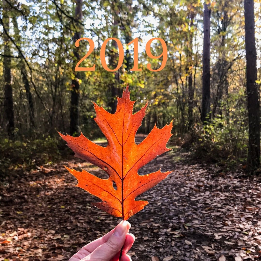 En mots et en images : 2019