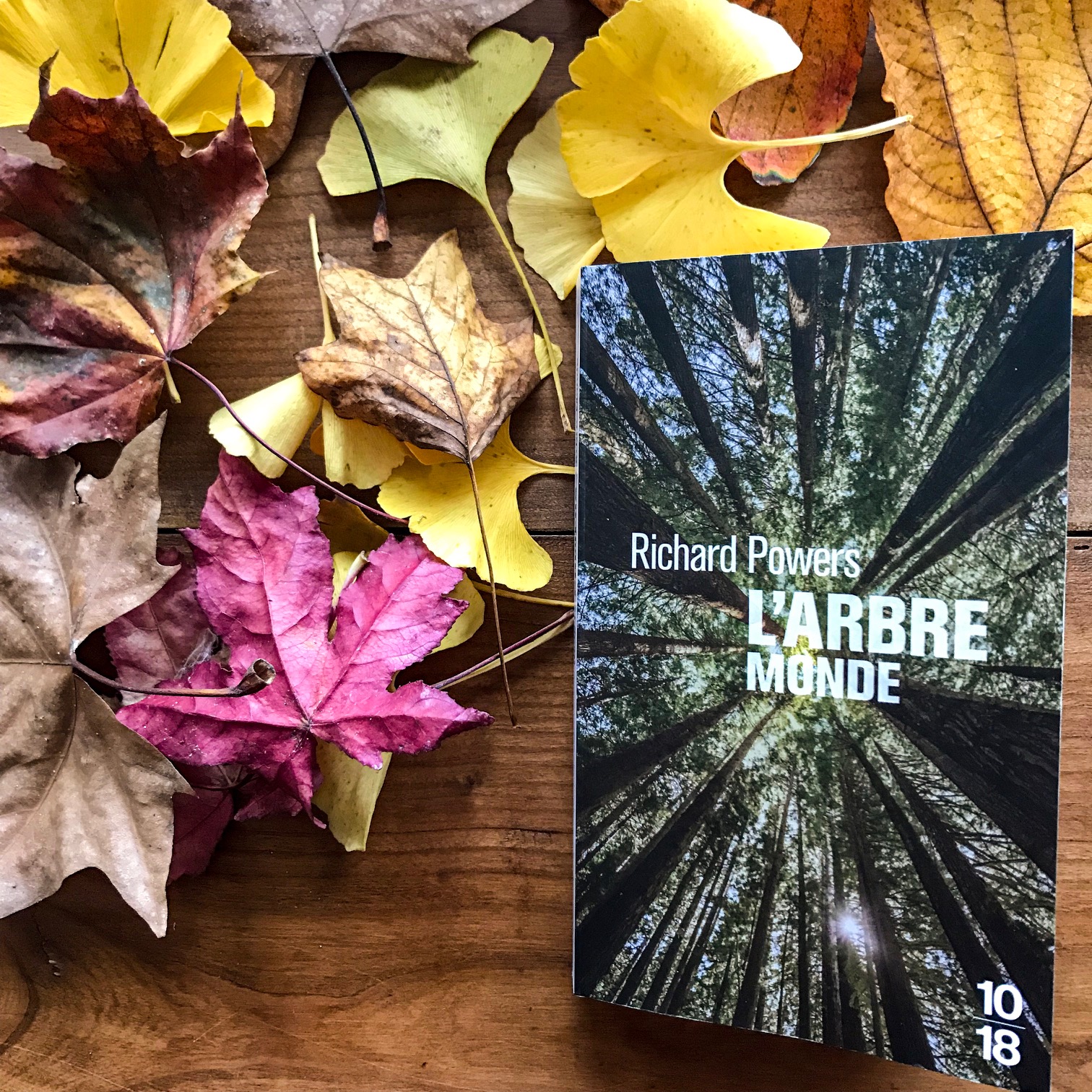 L&rsquo;Arbre-Monde, de Richard Powers : des forêts et des hommes