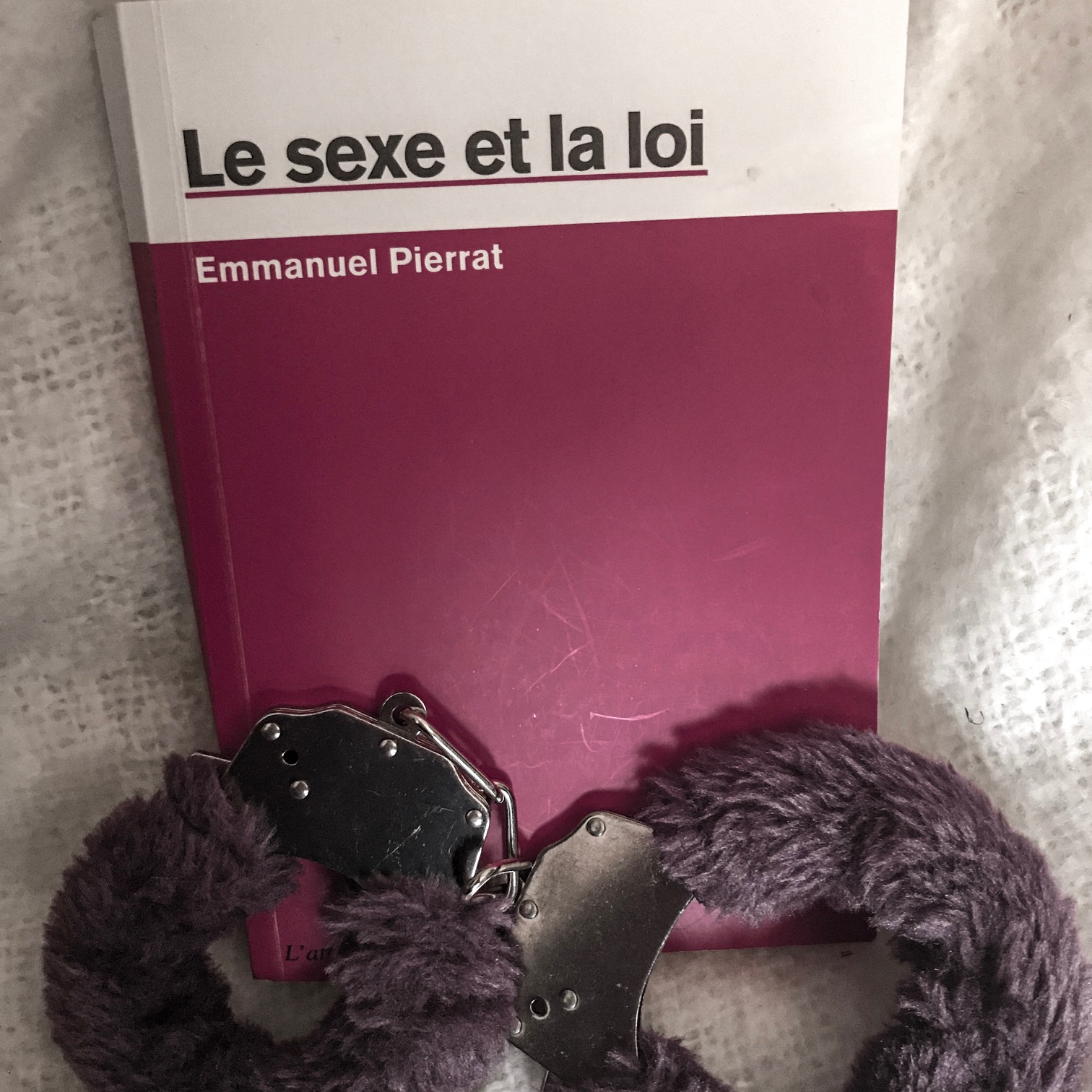Le sexe et la loi, d&rsquo;Emmanuel Pierrat : de bien troubles rapports