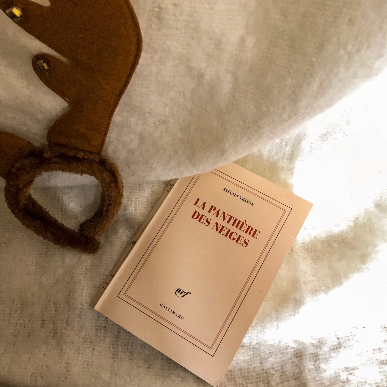 La Panthère des neiges, de Sylvain Tesson : consentir au monde