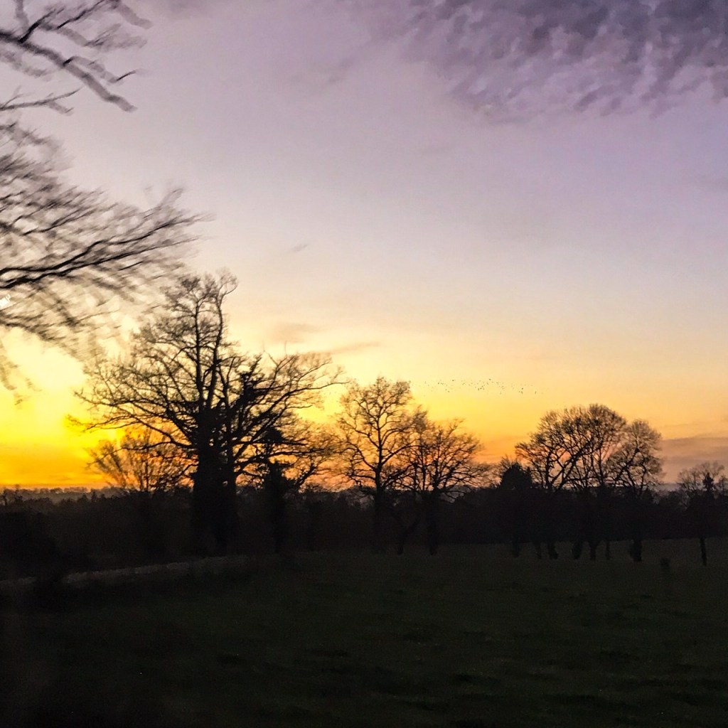 L'Or du soir qui tombe