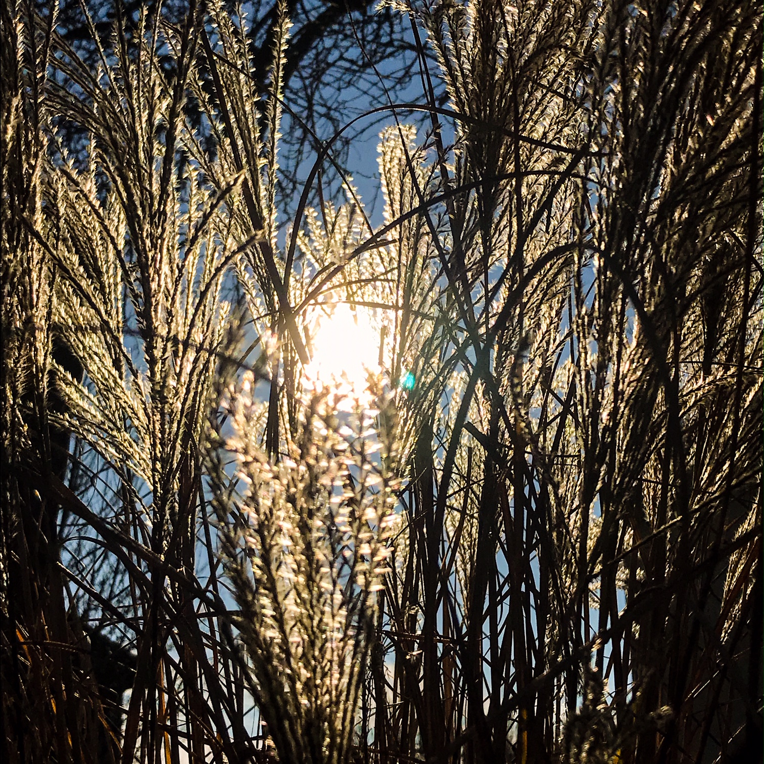 En mots et en images : janvier 2020