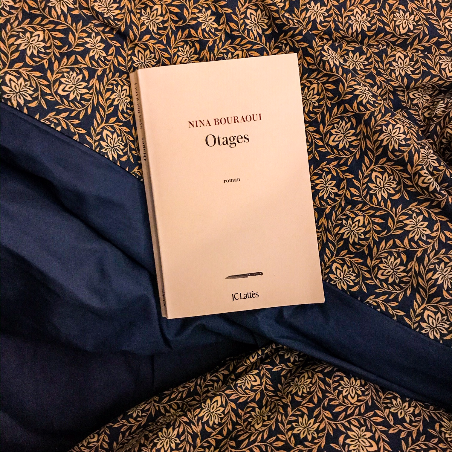 Otages, de Nina Bouraoui : l'origine de la violence
