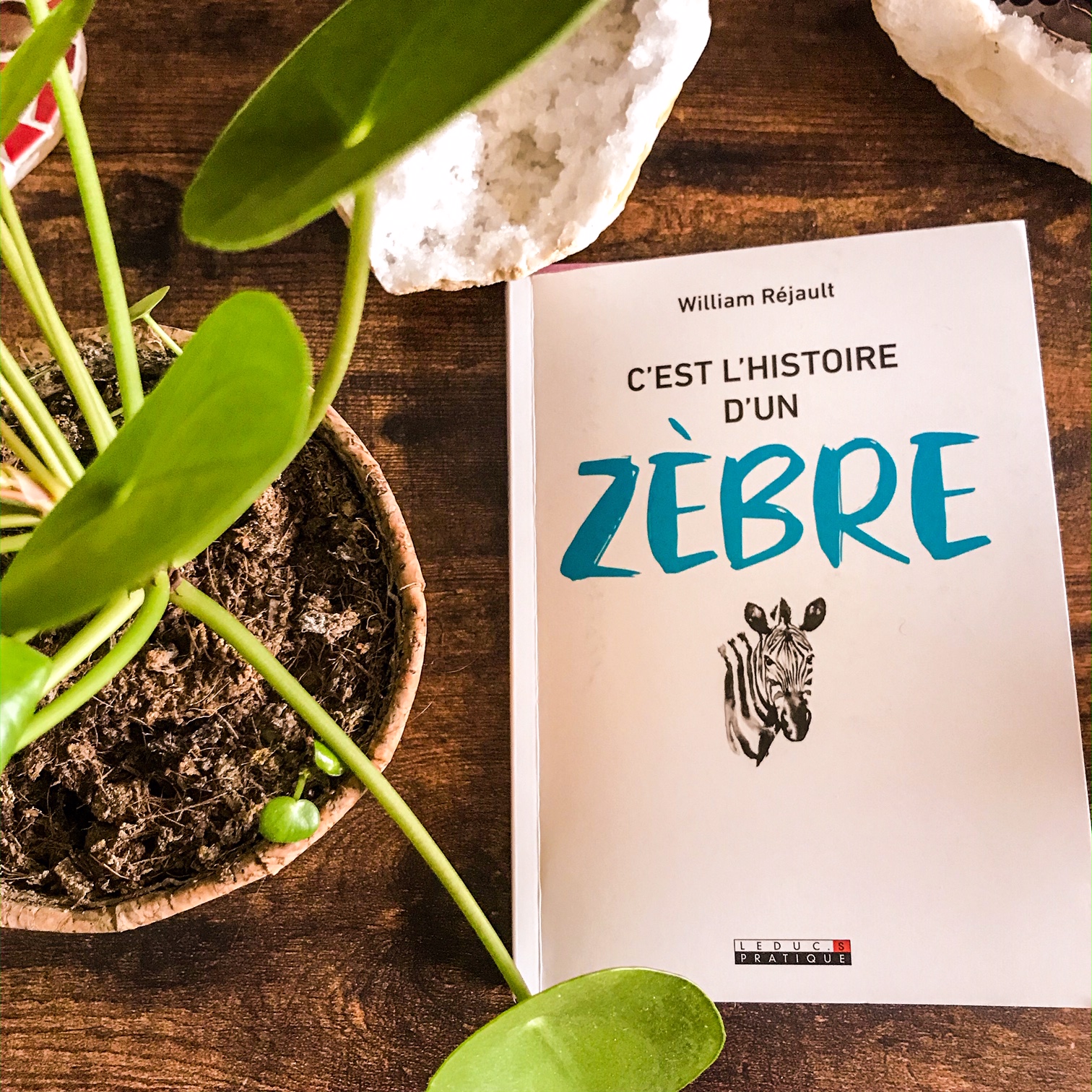 C&rsquo;est l&rsquo;histoire d&rsquo;un zèbre, de William Réjault : le pouvoir des rayures