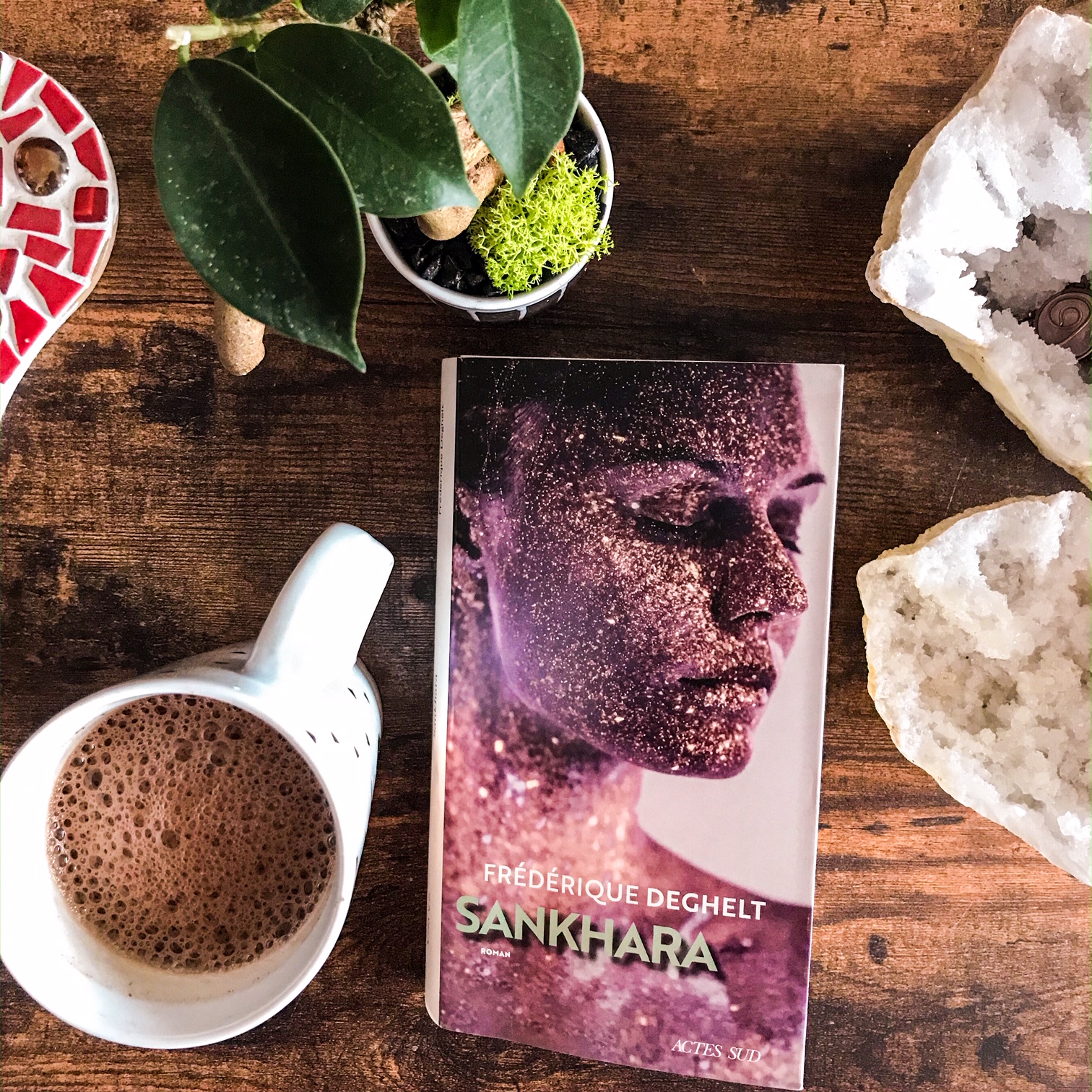 Sankhara, de Frédérique Deghelt : aller en soi