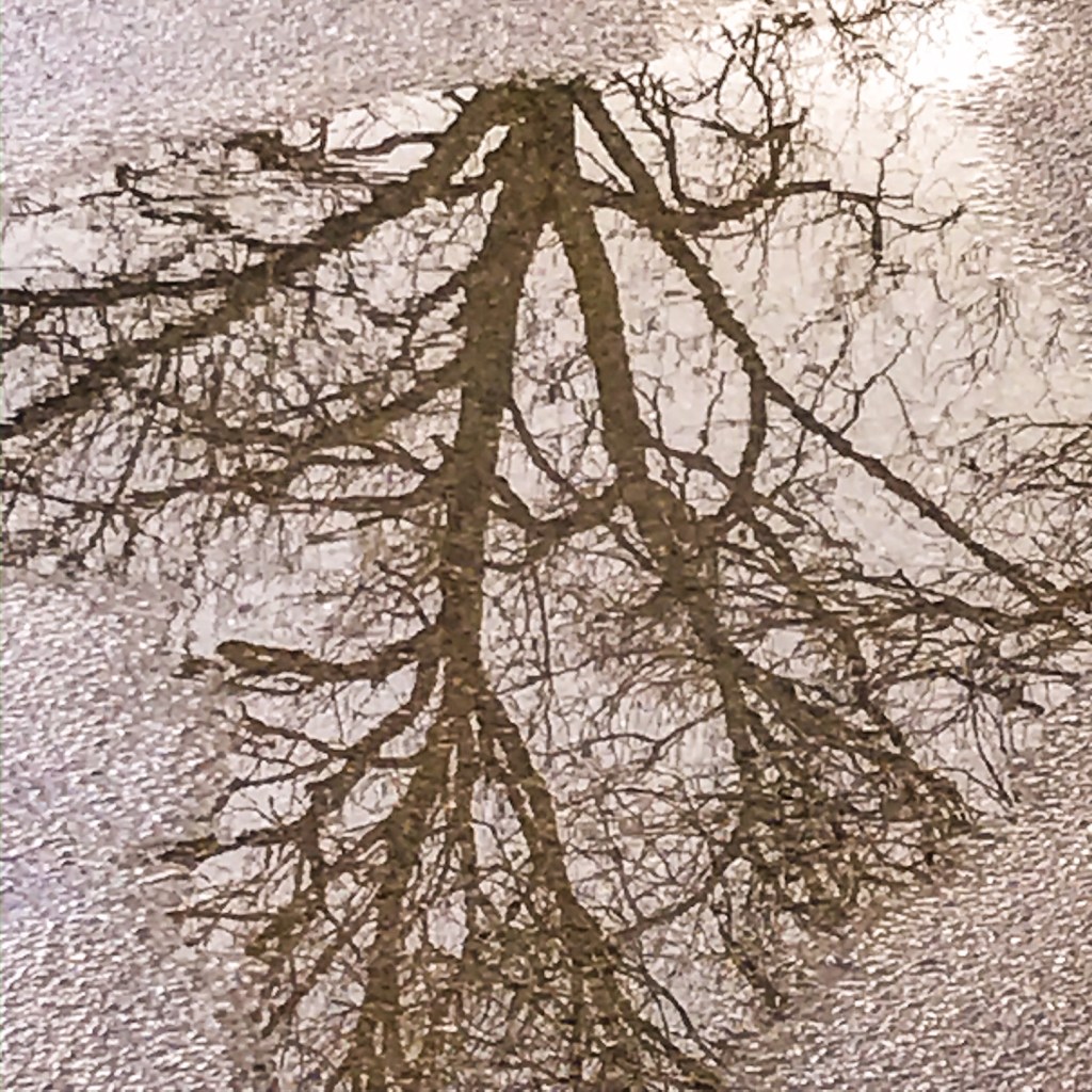 Reflet dans une flaque d'eau