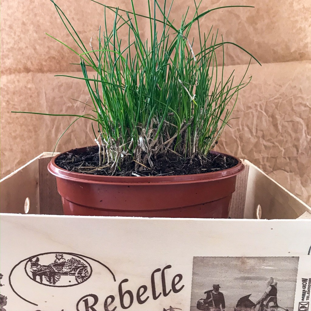 Renaître après l’hiver