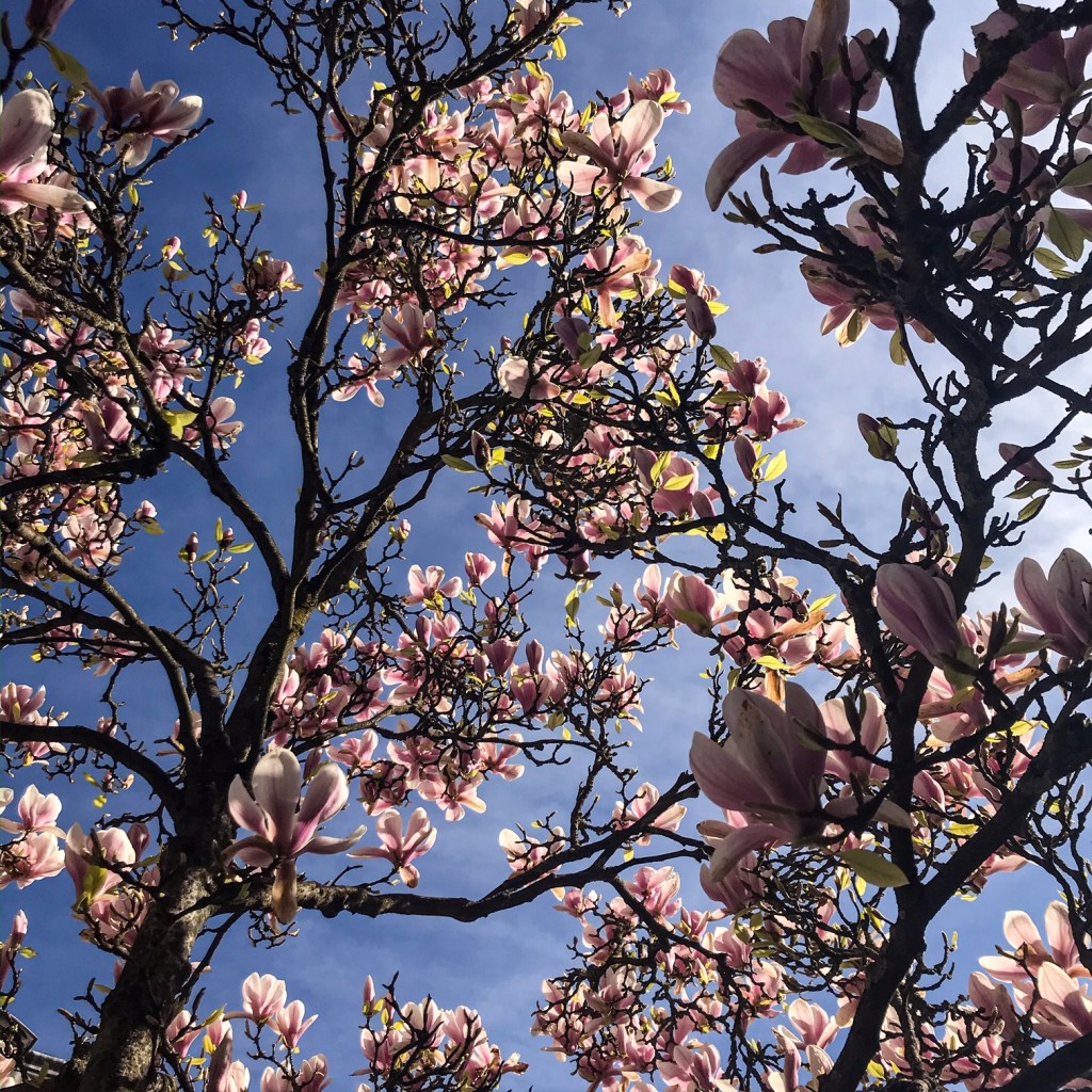 Le monde a soif&nbsp;d&rsquo;amour