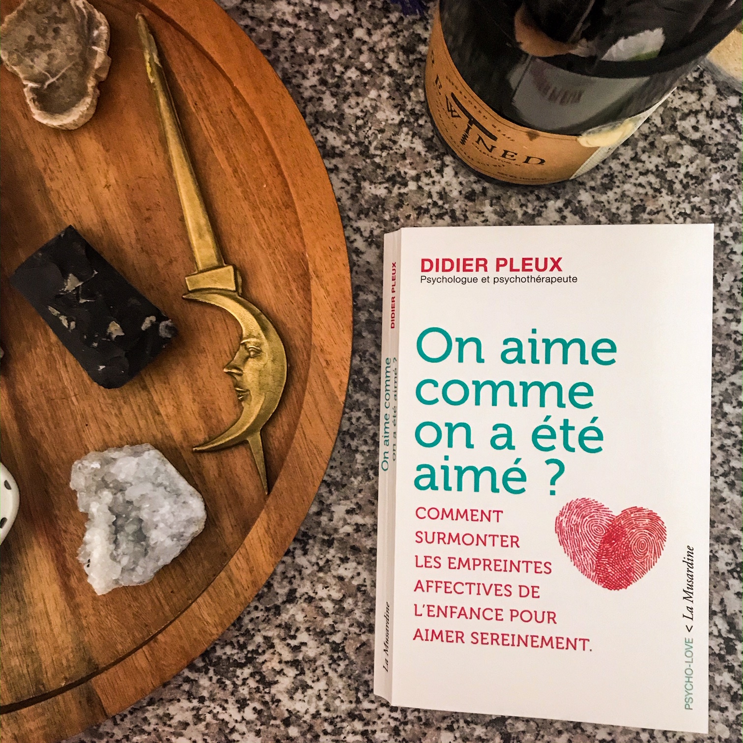 On aime comme on a été aimé ? De Didier Pleux : penser en adulte le sentiment amoureux