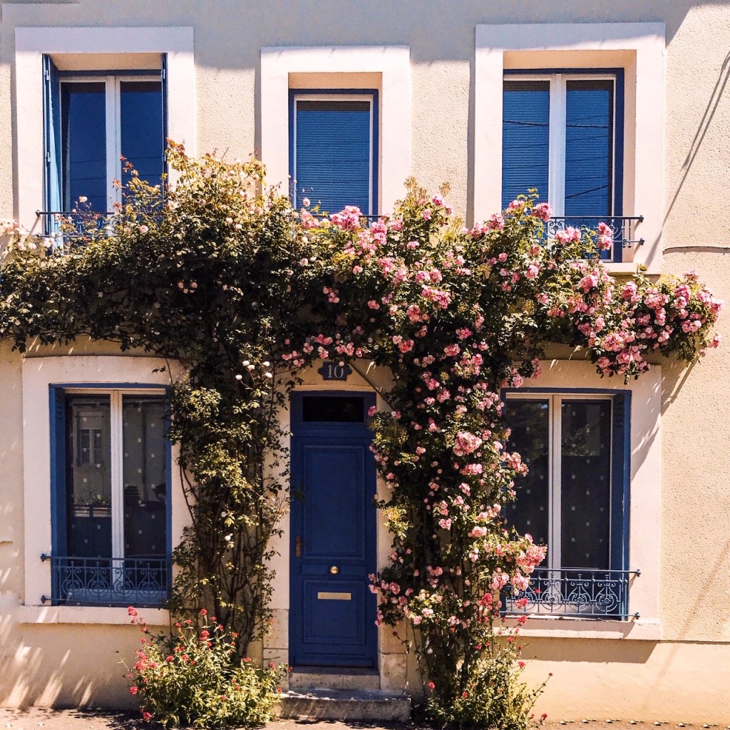 Instantané #96 (juste quelque chose de joli)