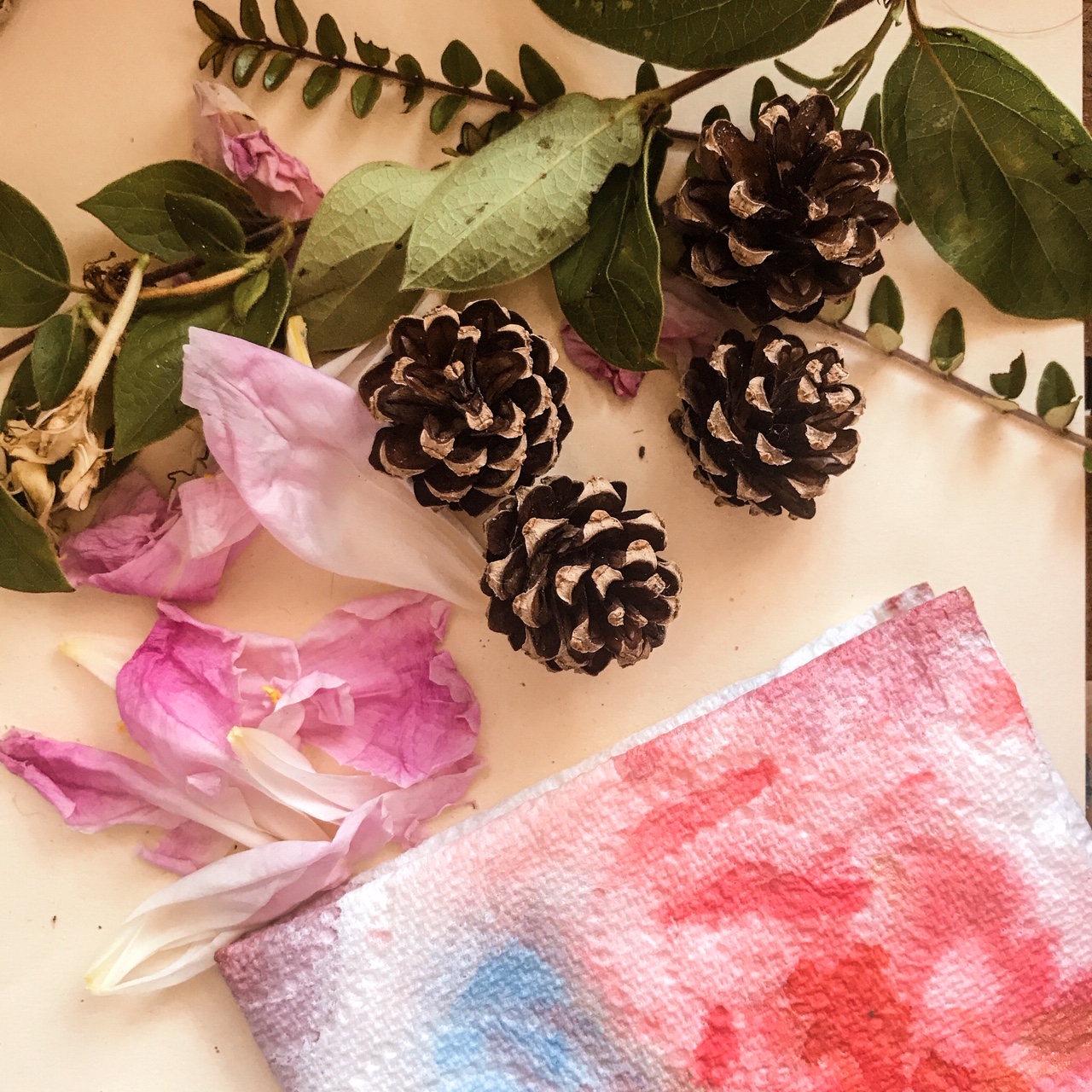 Sur la table de dissection