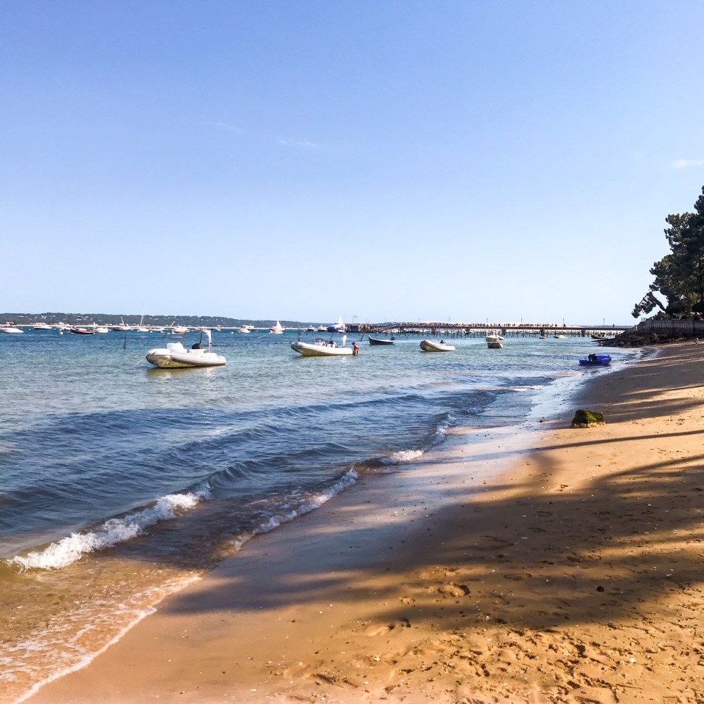 En mots et en images : juillet&nbsp;2020