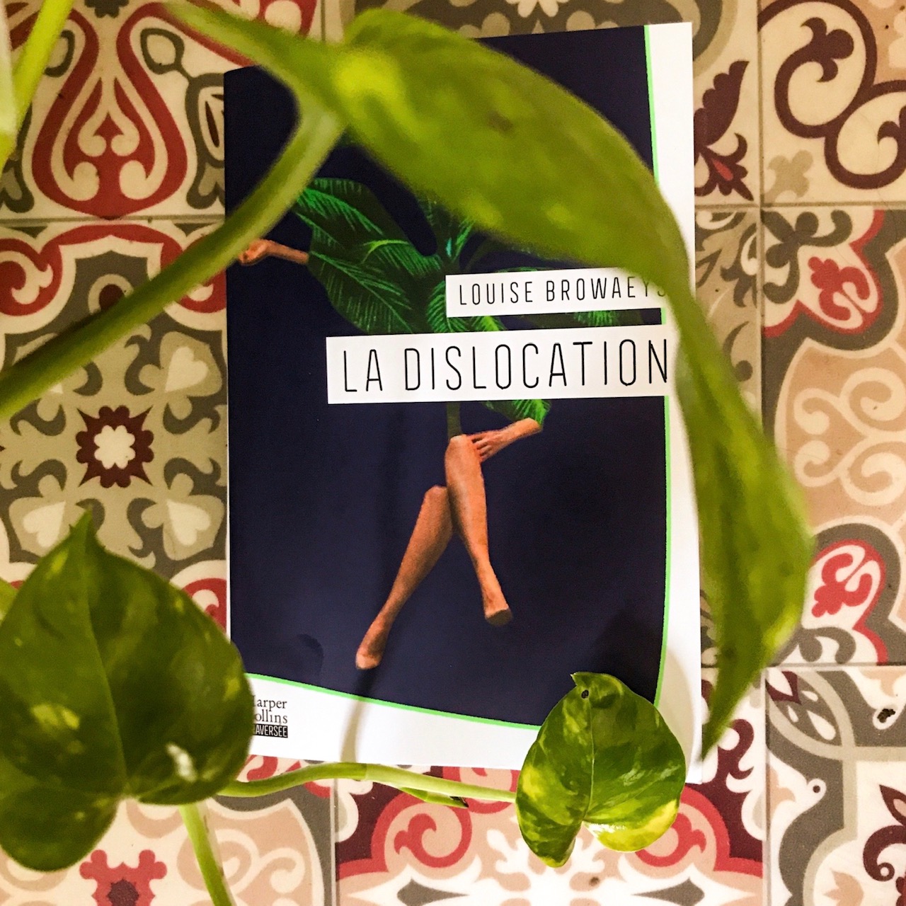 La dislocation, de Louise Browaeys : un puzzle aux pièces manquantes