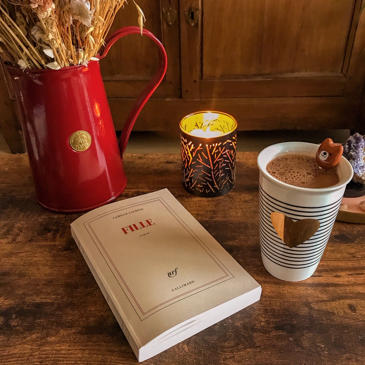 Fille, de Camille Laurens : le roman du féminin