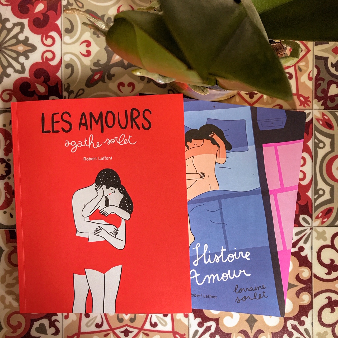 Les Amours, d&rsquo;Agathe Sorlet / Une histoire d&rsquo;amour, de Lorraine Sorlet : deux albums amoureux