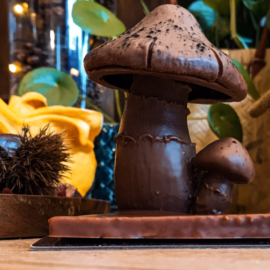 En mots et en images : octobre&nbsp;2020