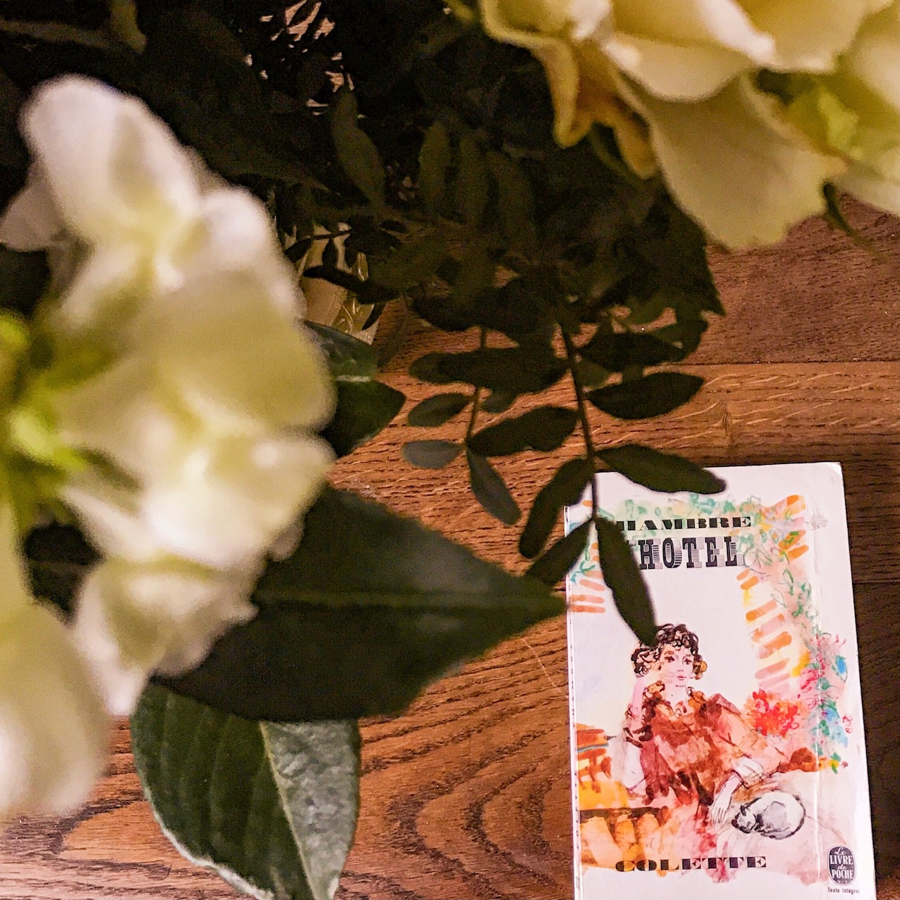 Chambre d&rsquo;hôtel et La lune de pluie, de Colette : souvenirs
