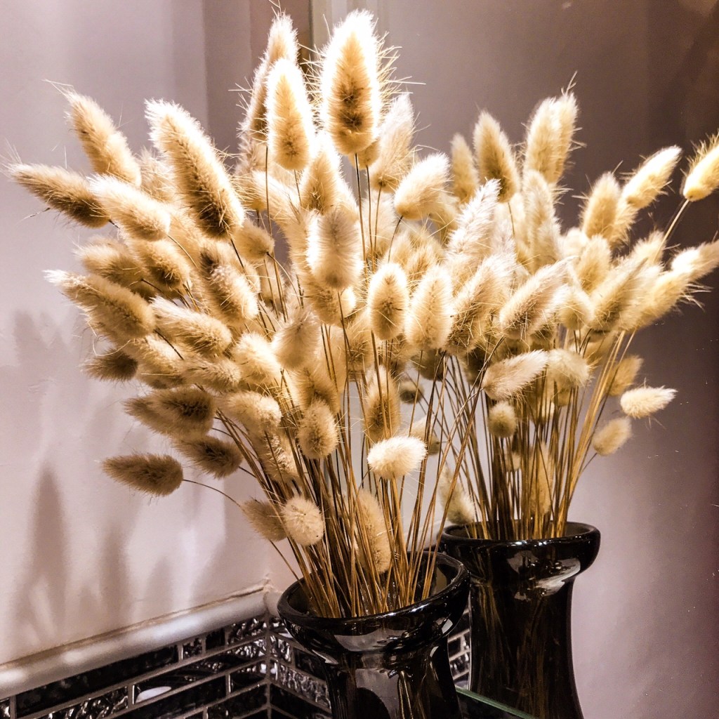 Le pouvoir de l’empathie