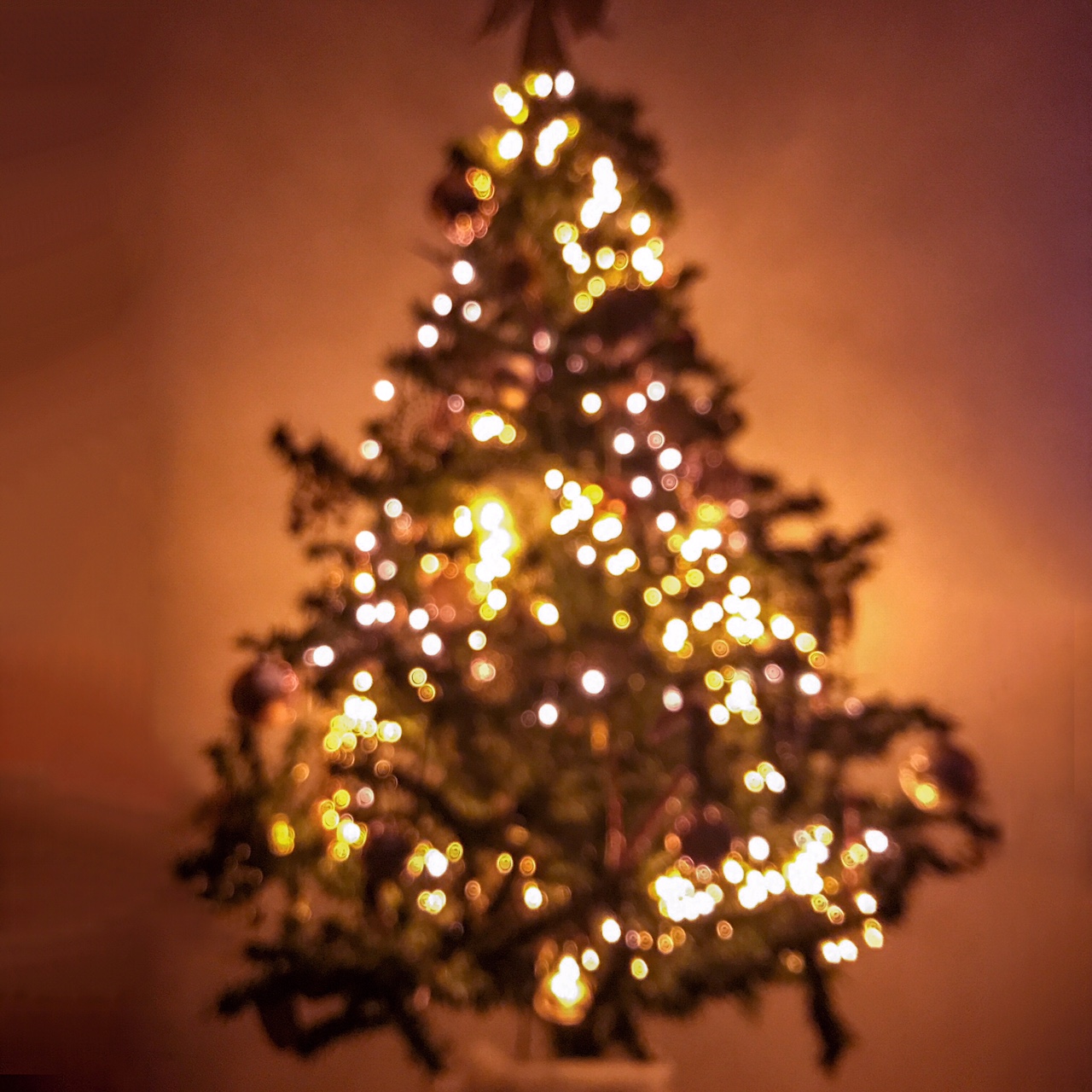 Le sapin : version flou artistique