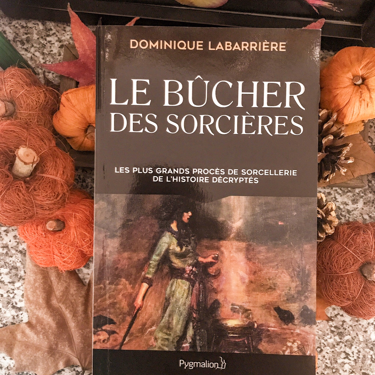 Le bûcher des sorcières, de Dominique Labarrière : les plus grands procès de sorcellerie de l'histoire décryptés