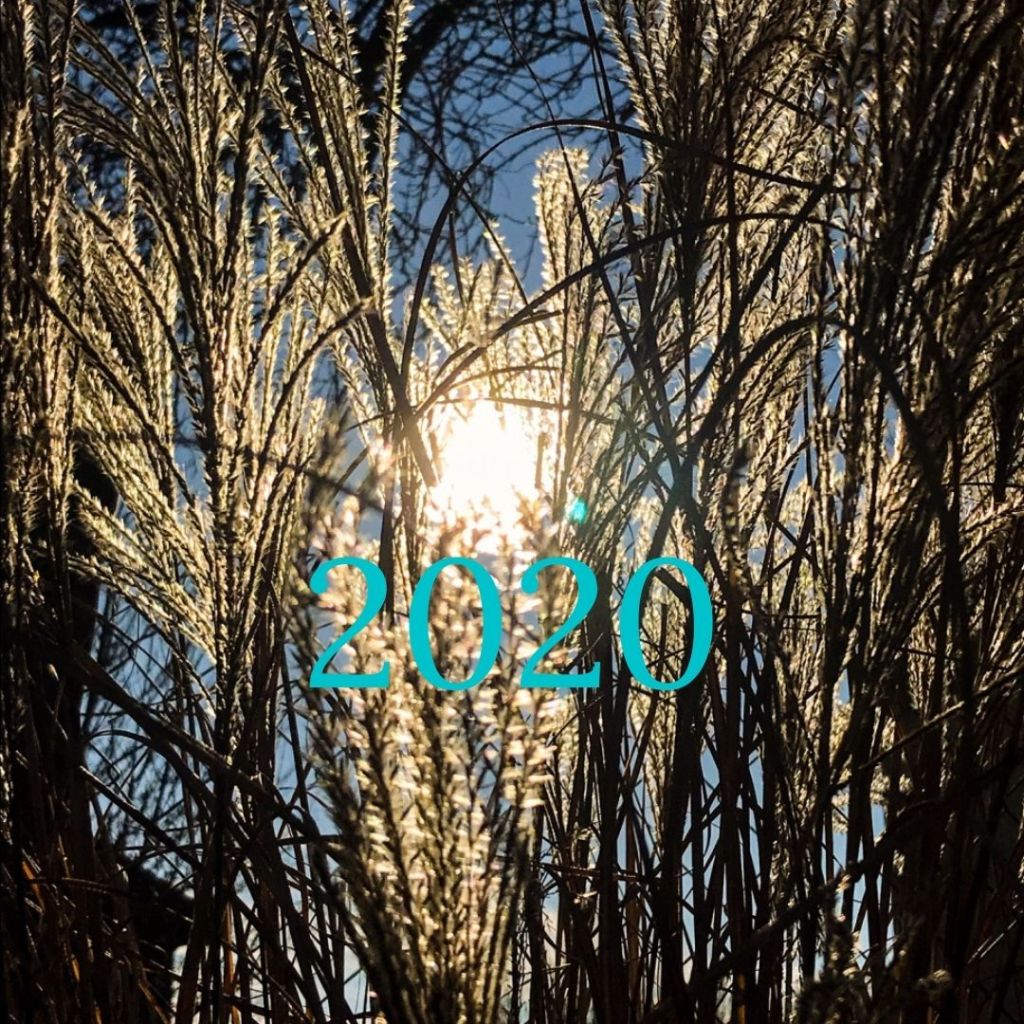 En mots et en images :&nbsp;2020