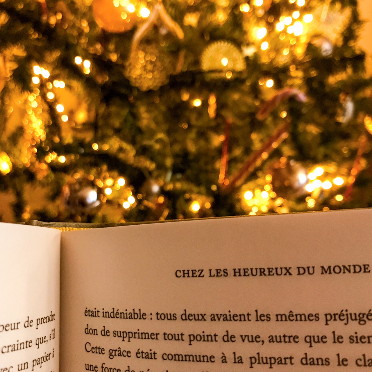 lire devant le sapin