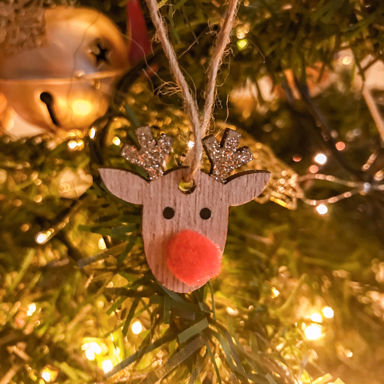 Rennes du père noël