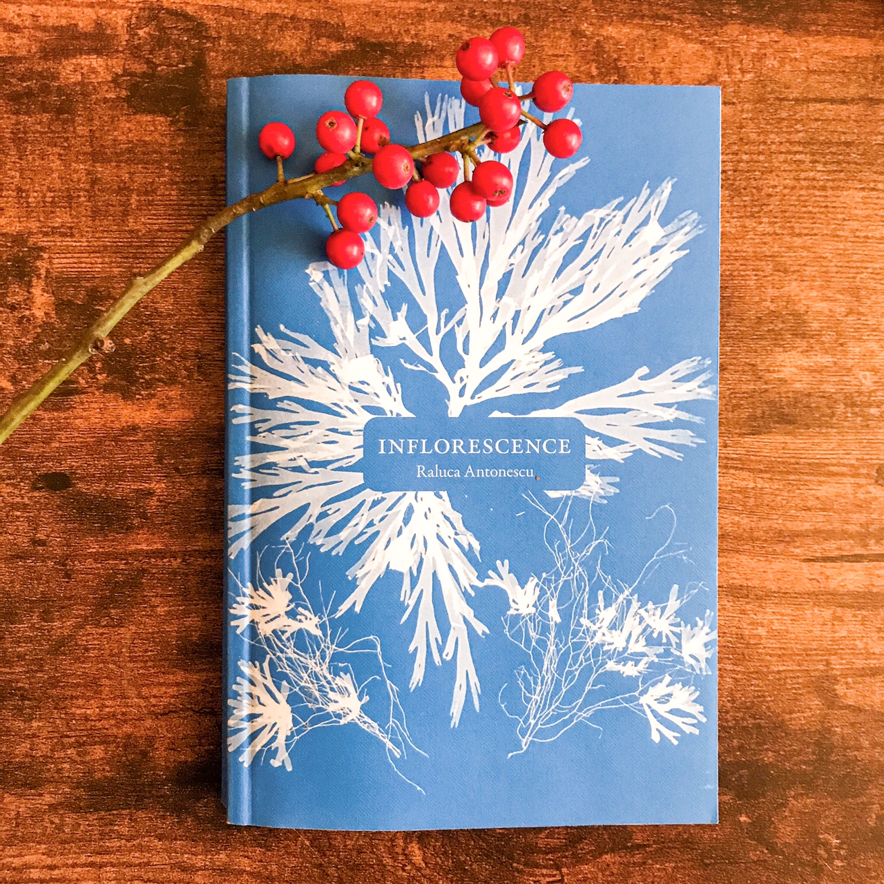 Inflorescence, de Raluca Antonescu : histoires de femmes