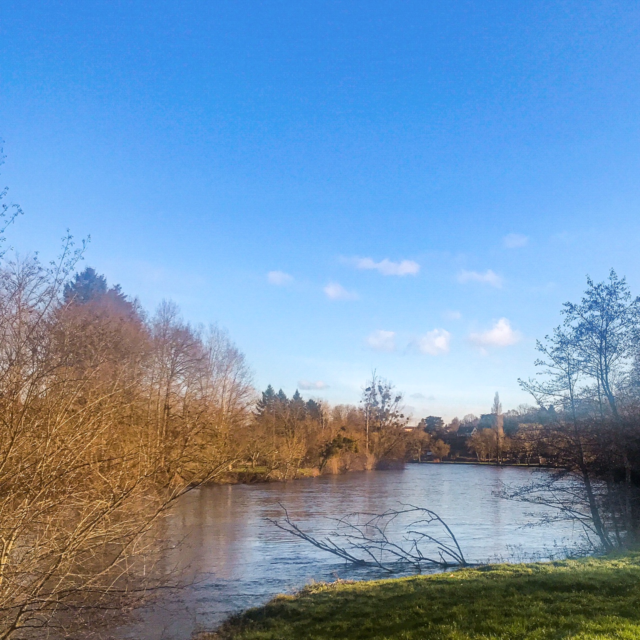 Promenade vivifiante