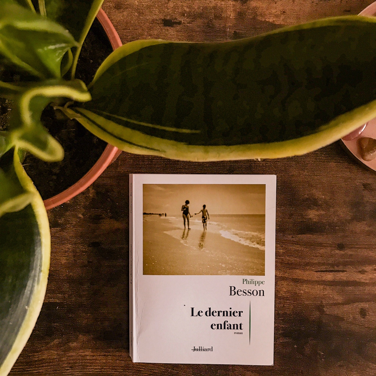 Le dernier enfant, de Philippe Besson : le syndrome du nid vide