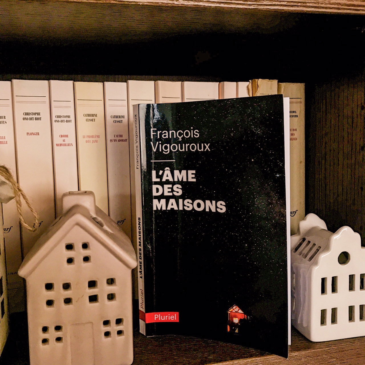 L&rsquo;âme des maisons, de François Vigouroux : histoires d&rsquo;habiter