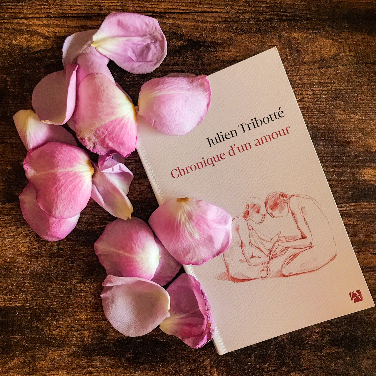 Chronique d&rsquo;un amour, de Julien Tribotté : aimer au jour le jour