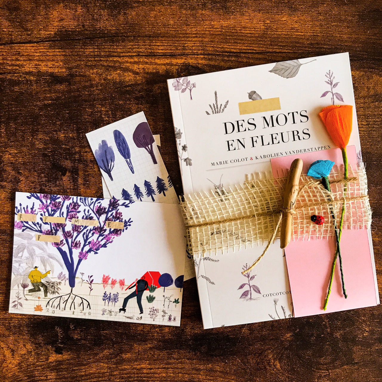 Des mots en fleurs, de Marie Colot et Karolien Vanderstappen : jardin poétique