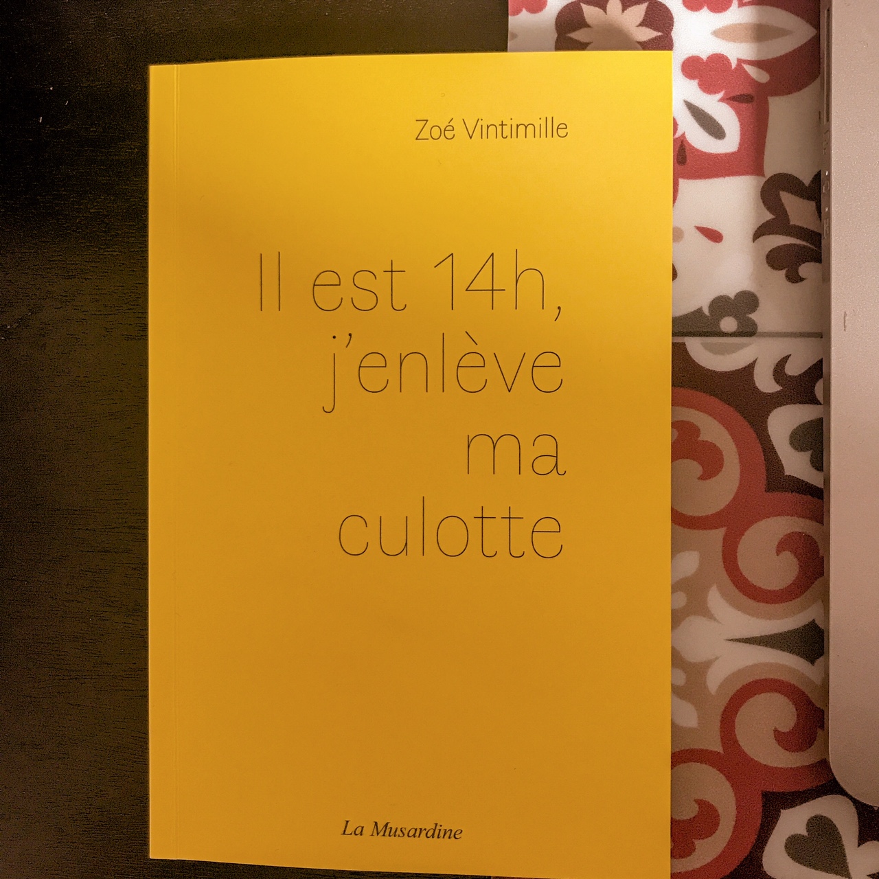 Il est 14h, j&rsquo;enlève ma culotte de Zoé Vintimille : instantanés érotiques