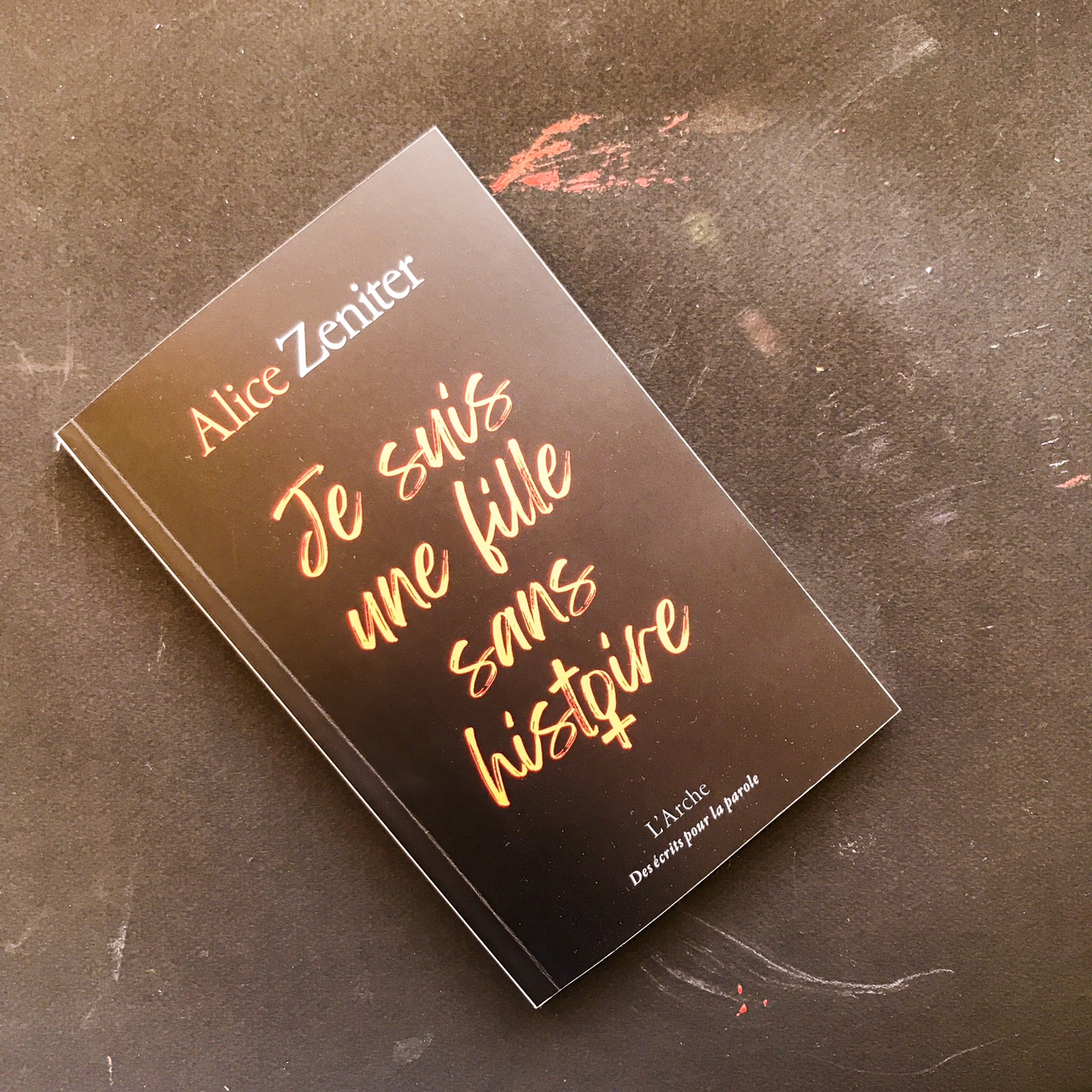 Je suis une fille sans histoire, d&rsquo;Alice Zeniter : des mecs qui font des trucs