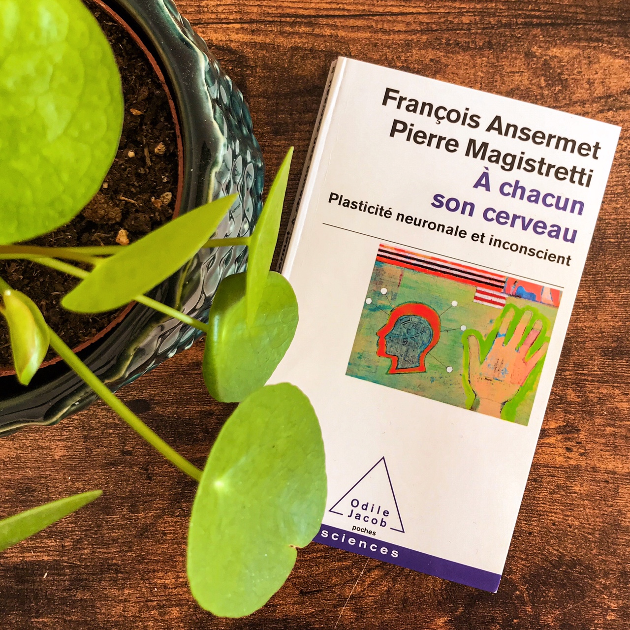 A chacun son cerveau, de François Ansermet et Pierre Magistretti : plasticité neuronale et inconscient