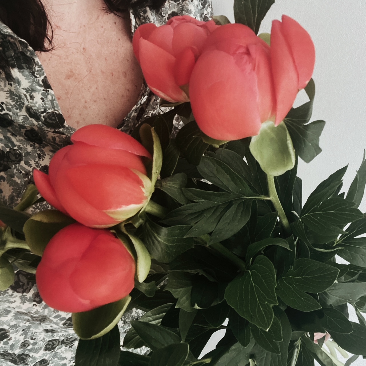 une jolie histoire de pivoines