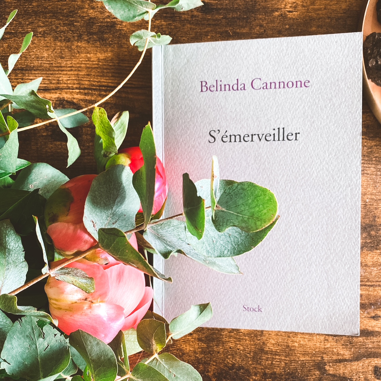S&rsquo;émerveiller, de Belinda Cannone : la vigilance poétique