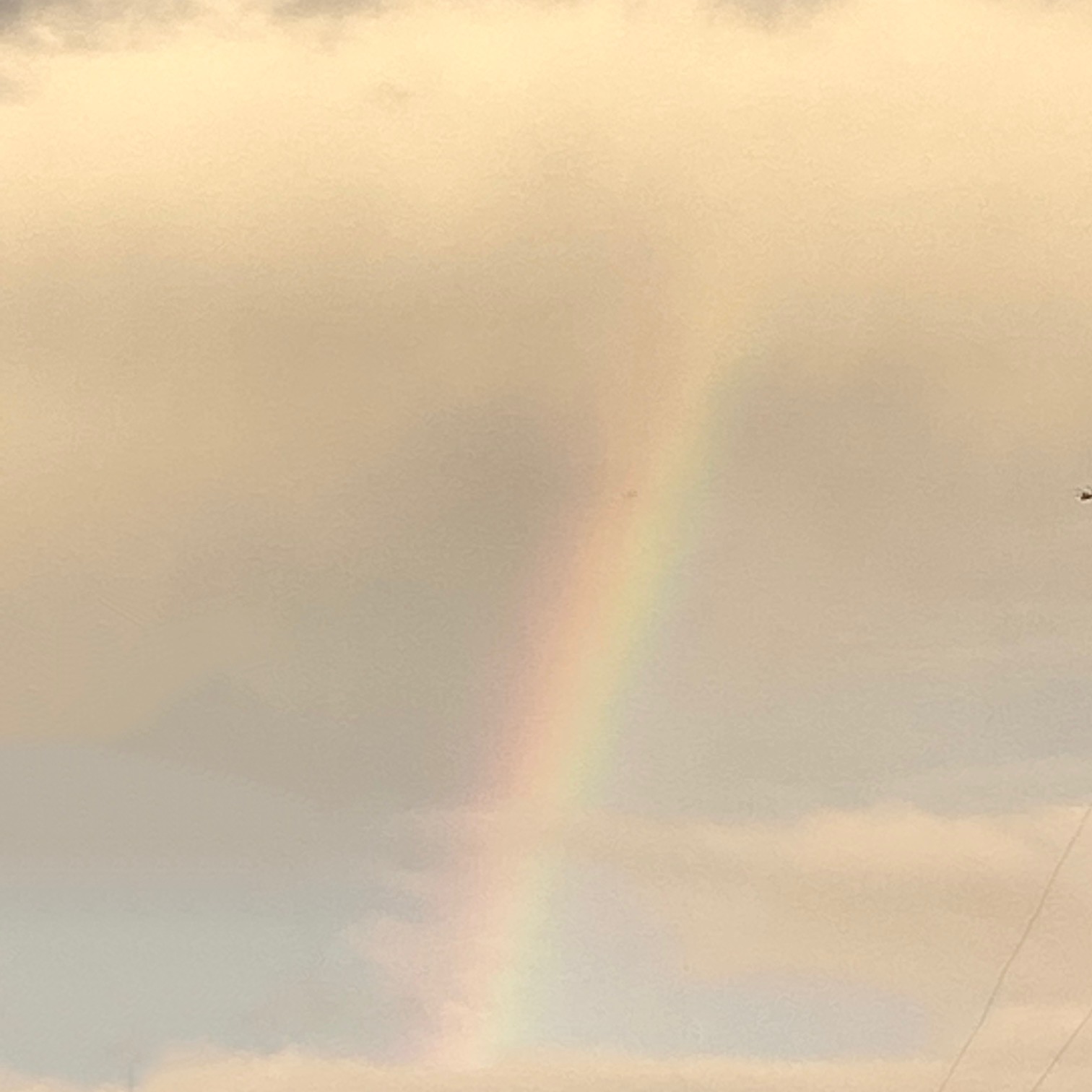 Arc-en-ciel surprise