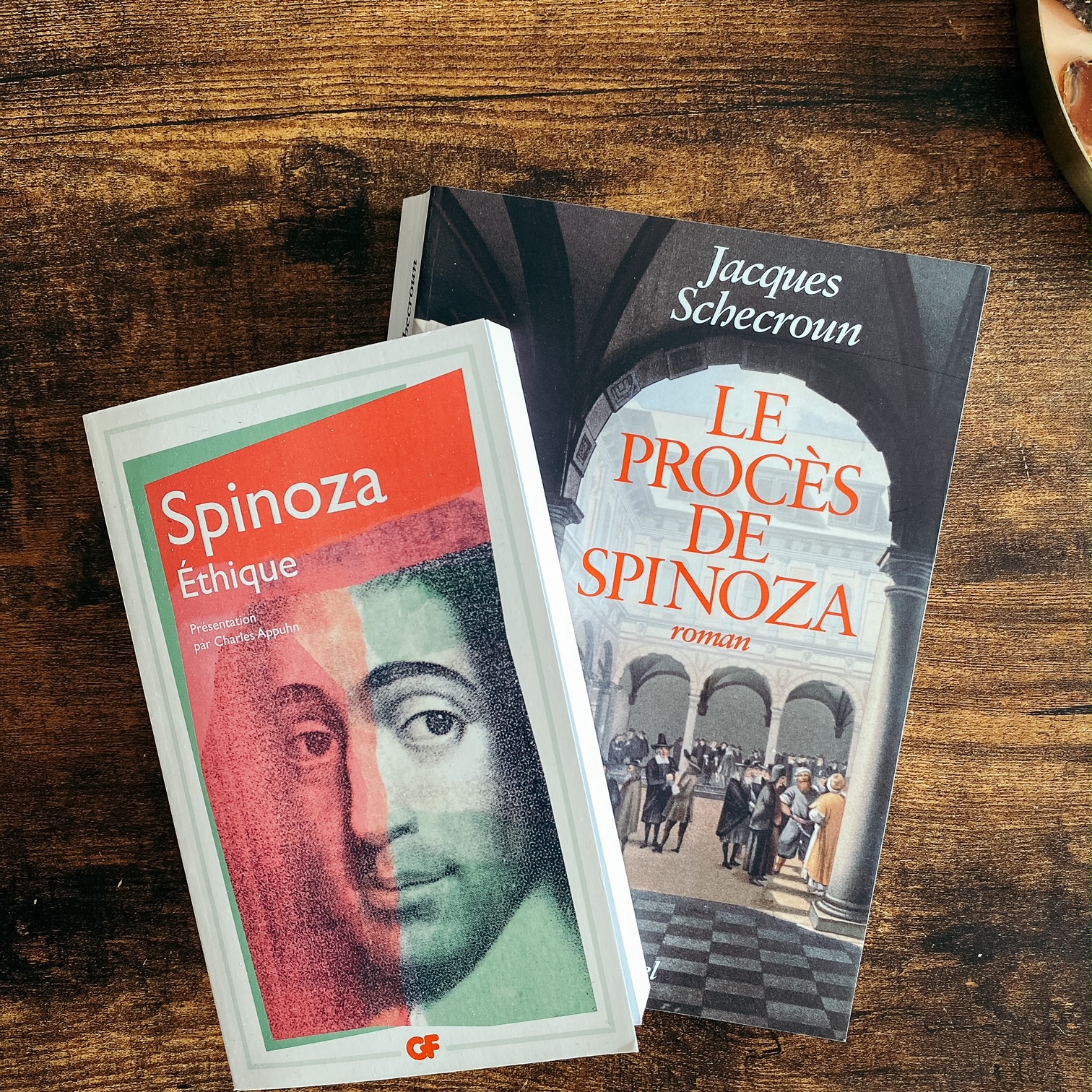 Le Procès de Spinoza, de Jacques Schecroun : un esprit libre