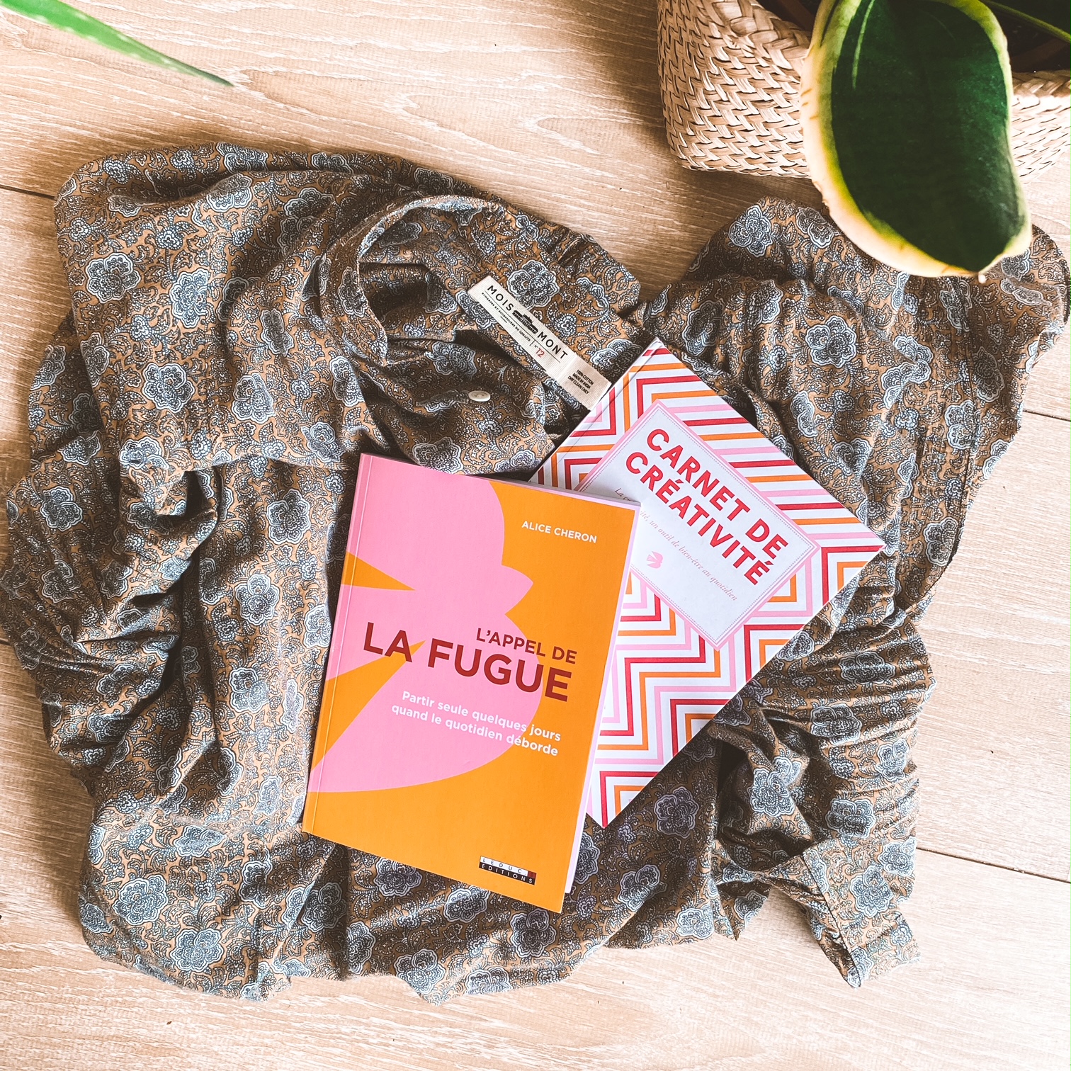 L&rsquo;appel de la fugue, d&rsquo;Alice Cheron : escapades en solitaire