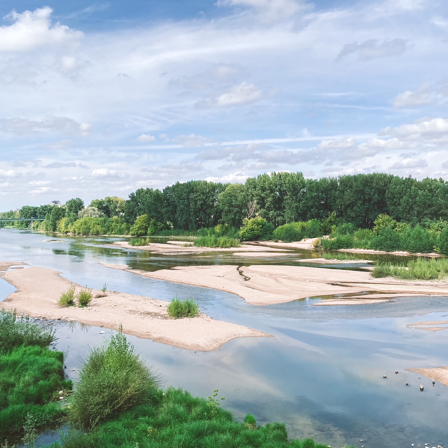 Instantané : bords de Loire