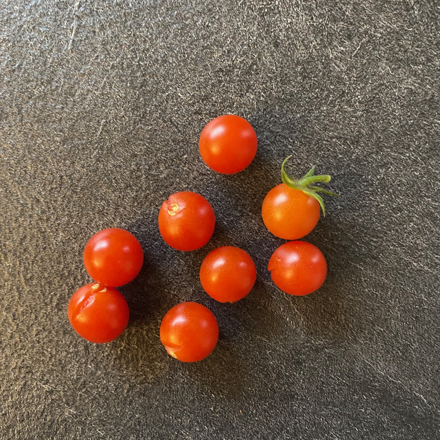Les dernières petites tomates