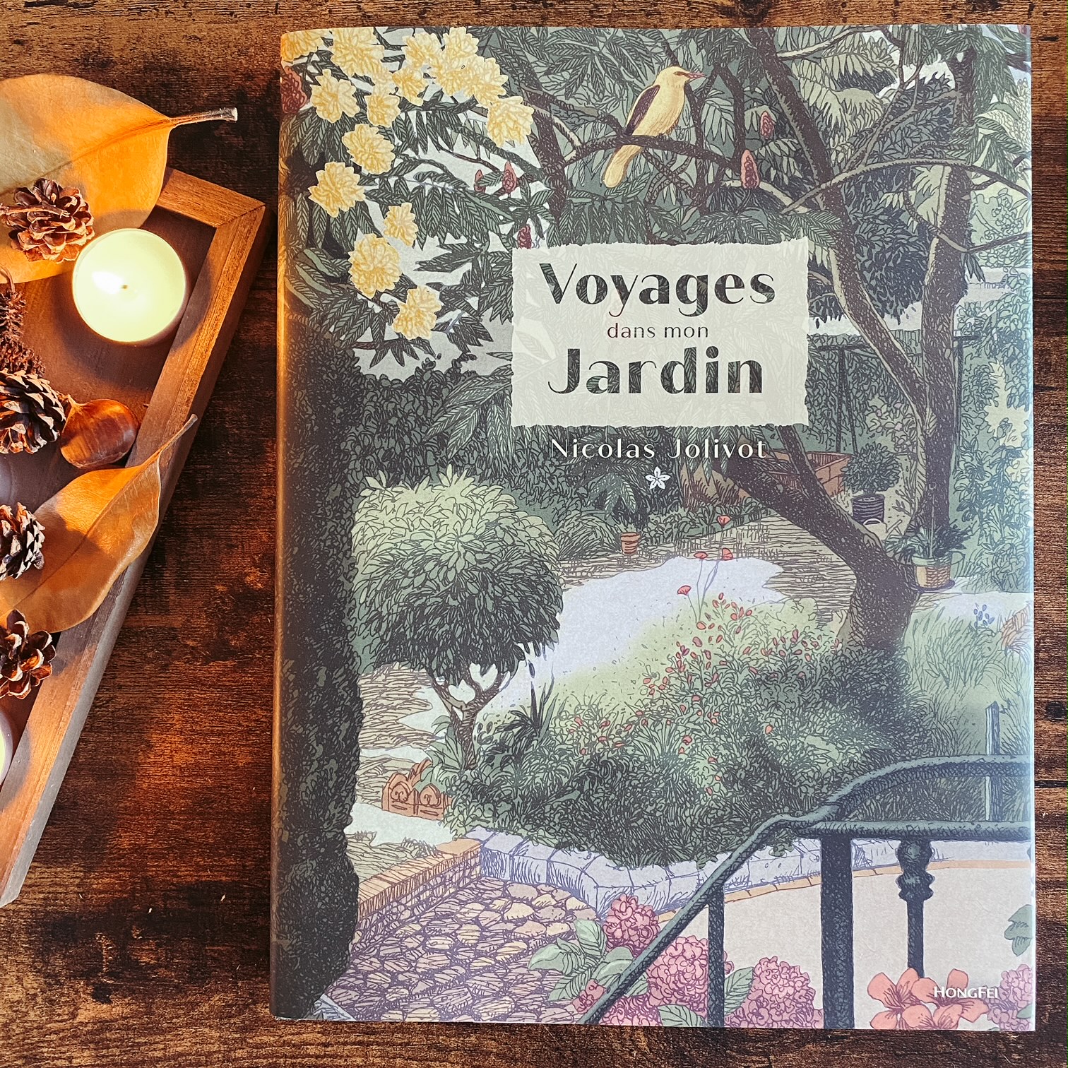 Voyages dans mon jardin, de Nicolas Jolivot : l&rsquo;émerveillement