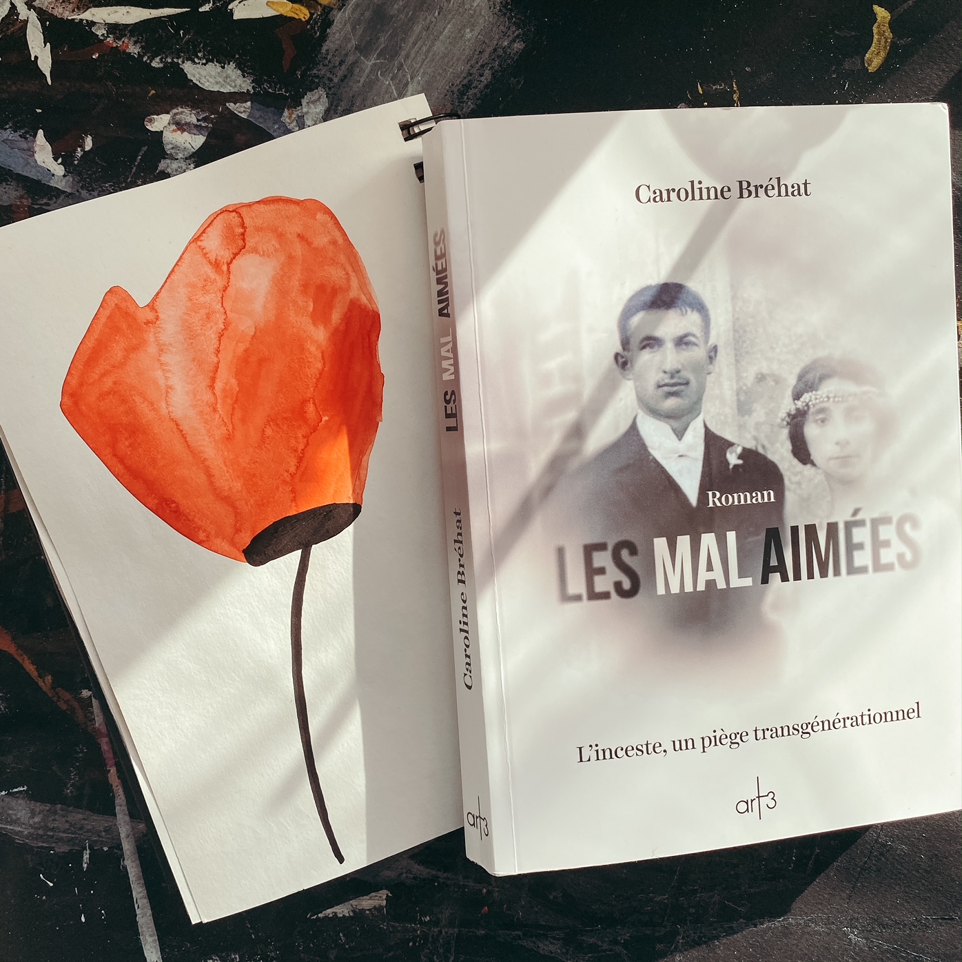 Les Mal Aimées, de Caroline Bréhat : l&rsquo;inceste, un piège transgénérationnel