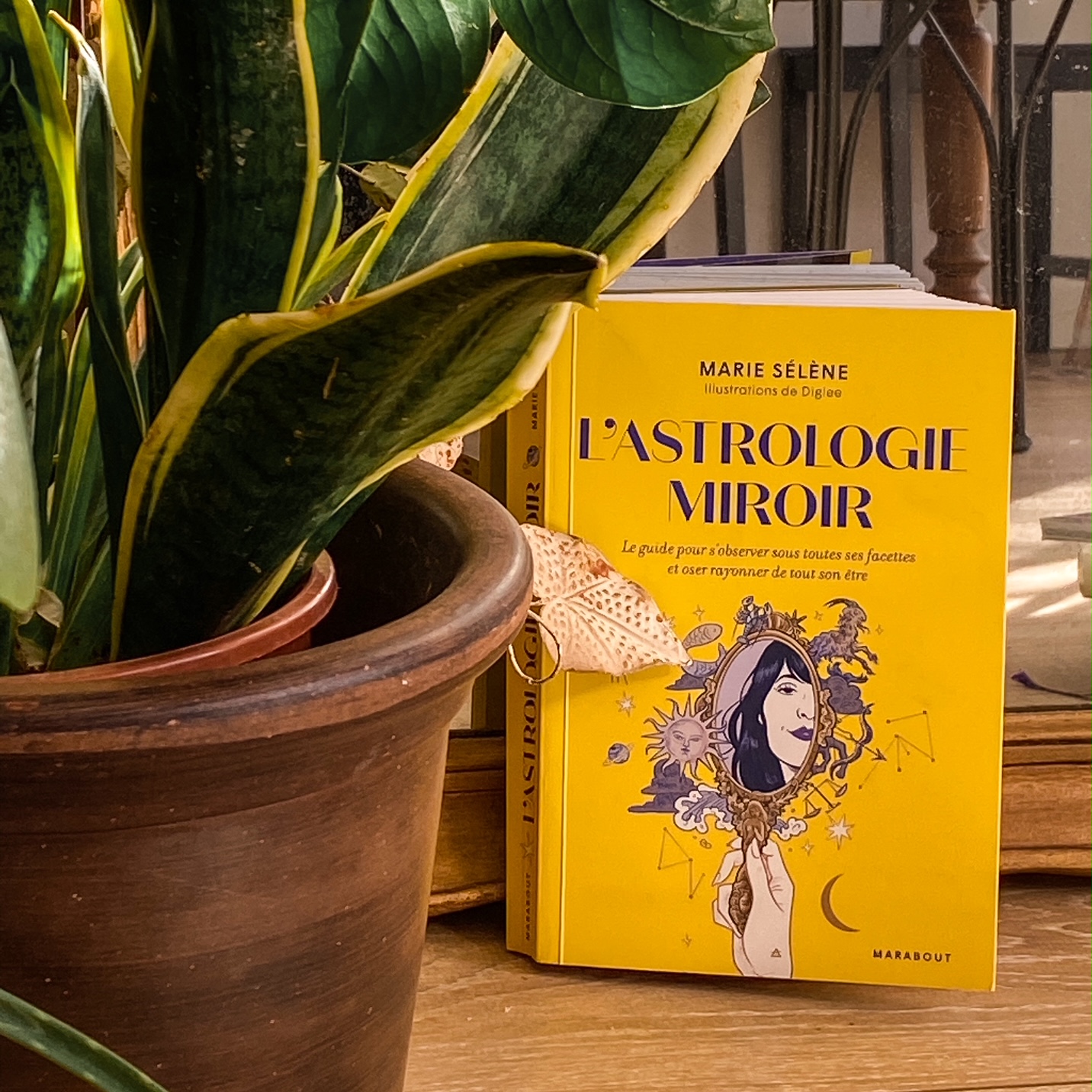 L&rsquo;Astrologie miroir, de Marie Sélène : rayonner ses planètes