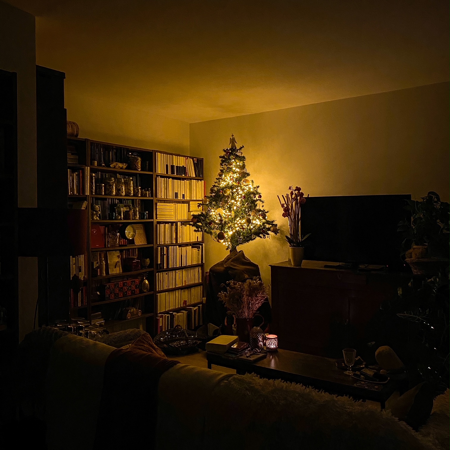 En attendant Noël – Les décorations